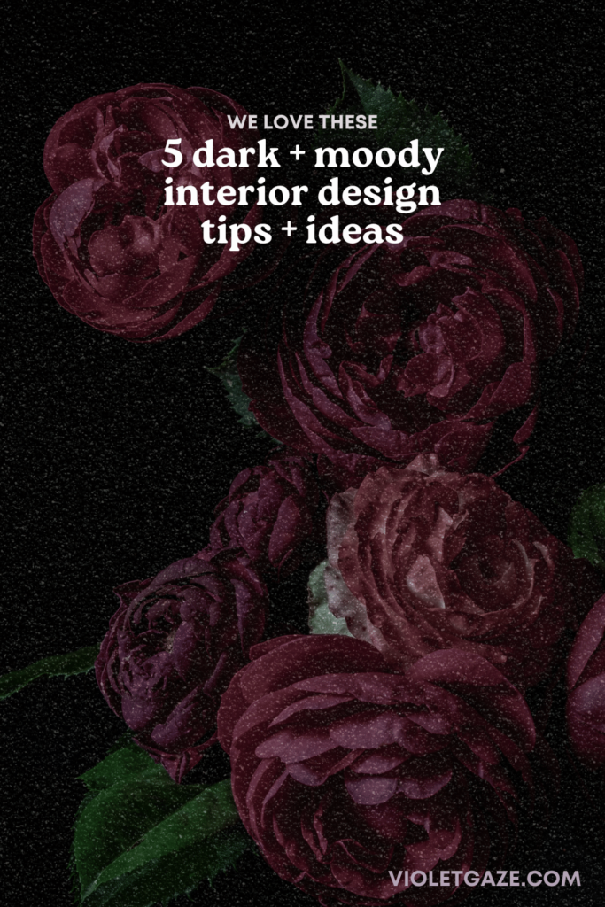 dark and moody interior design ideas