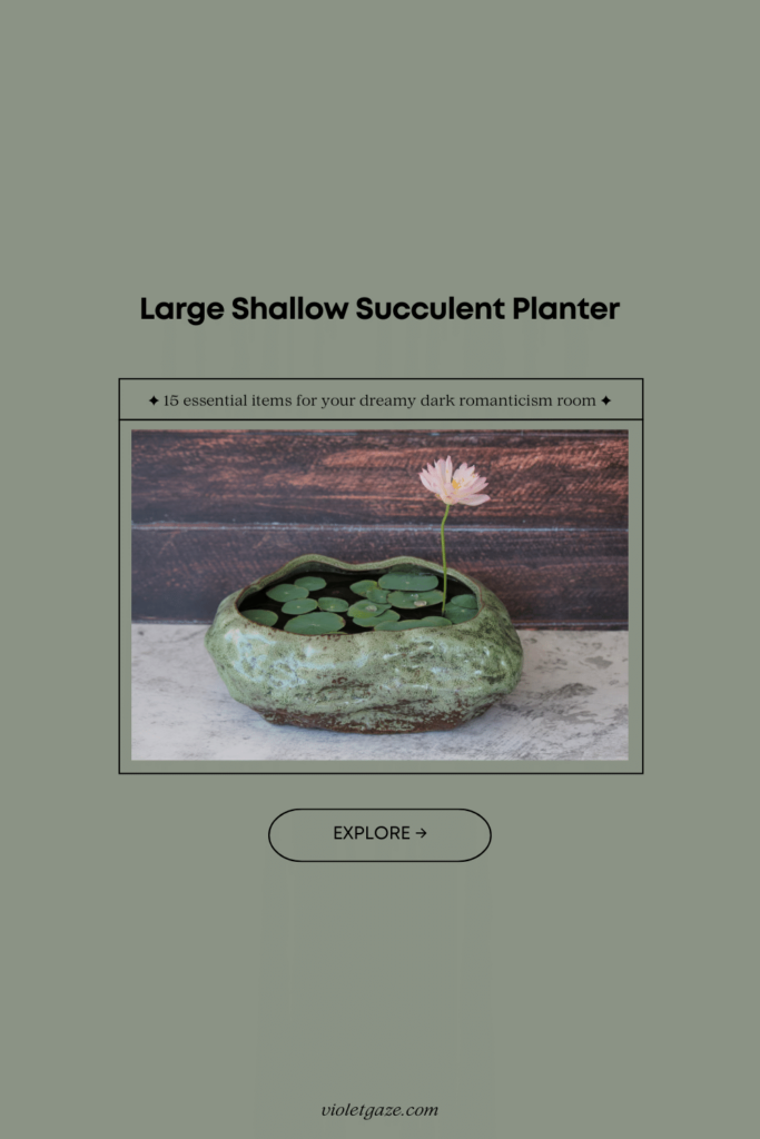 large shallow succulent planter